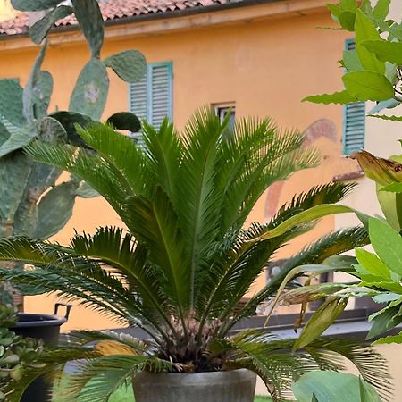 Apartamento The Jasmine Terrace Retreat Bolonia Exterior foto